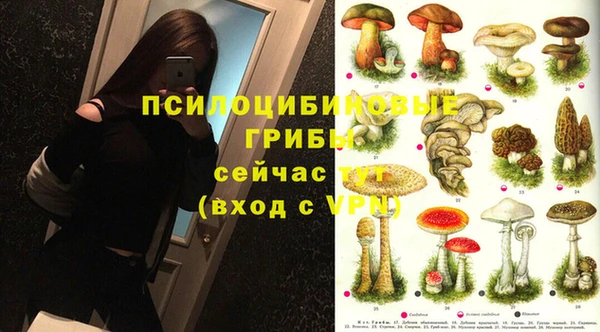 прущая мука Медвежьегорск