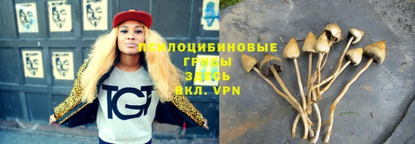 прущая мука Медвежьегорск